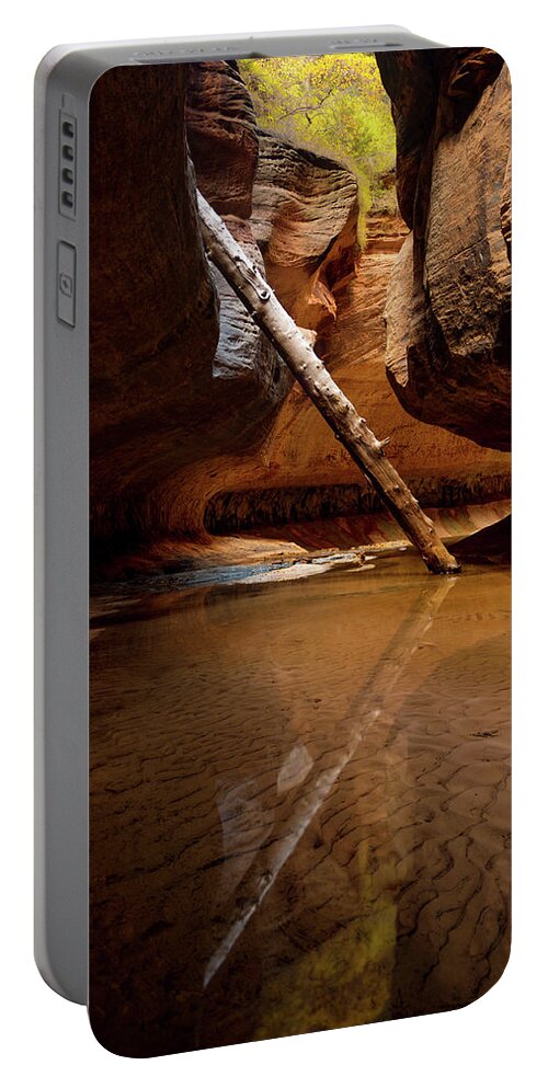 Zion Portable Battery Charger featuring the photograph Reunion by Dustin LeFevre