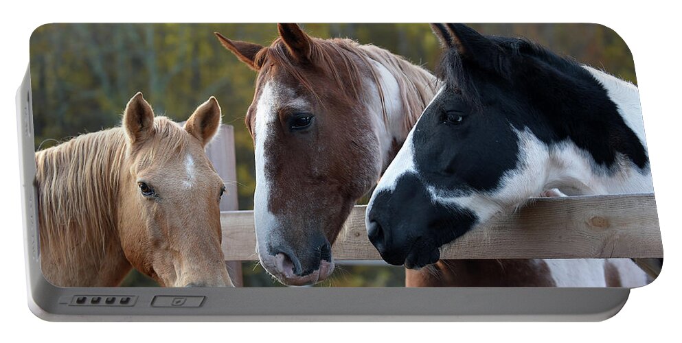Rosemary Farm Portable Battery Charger featuring the photograph Remy, Rhett, and Cleo by Carien Schippers