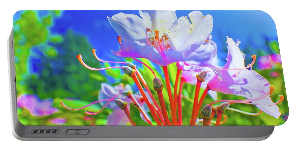 Adria Trail Portable Battery Charger featuring the photograph Rhodies in the Sun by Adria Trail