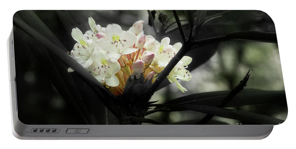 Blooming Rhododendron Portable Battery Charger featuring the photograph Rhododendron Blooms by Mike Eingle