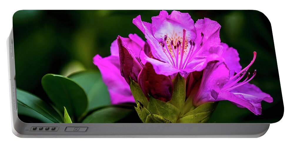 Flower Portable Battery Charger featuring the digital art Rhododendron by Ed Stines
