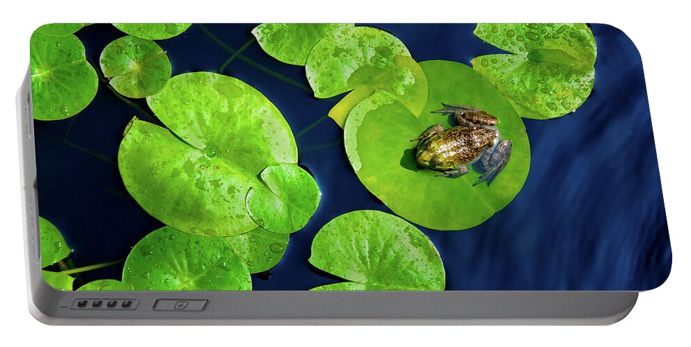 Cornish Portable Battery Charger featuring the photograph Ribbit by Greg Fortier