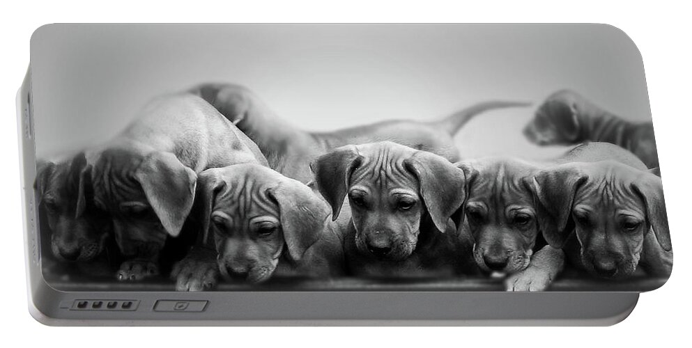 Puppy Portable Battery Charger featuring the photograph Ridgeback Puppies by Mim White