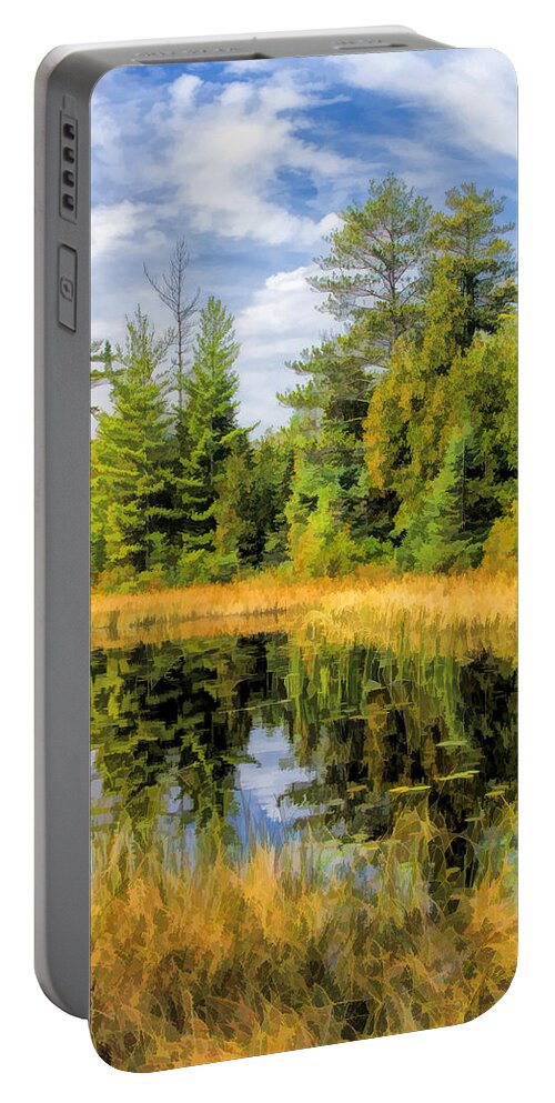 Door County Portable Battery Charger featuring the painting Ridges Sanctuary Reflections by Christopher Arndt