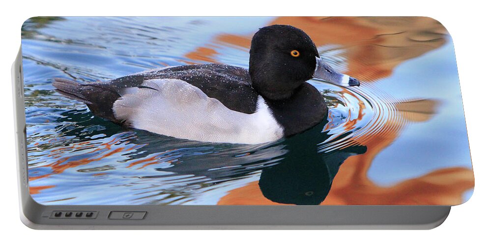 Ring-necked Duck Portable Battery Charger featuring the photograph Ring-Necked Duck by Shoal Hollingsworth