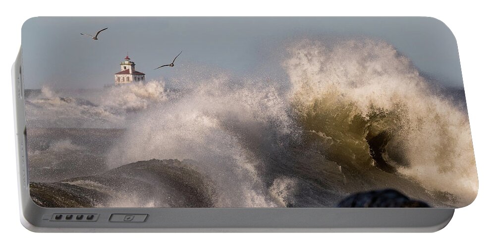 Oswego Portable Battery Charger featuring the photograph Rise Above The Turbulence by Everet Regal