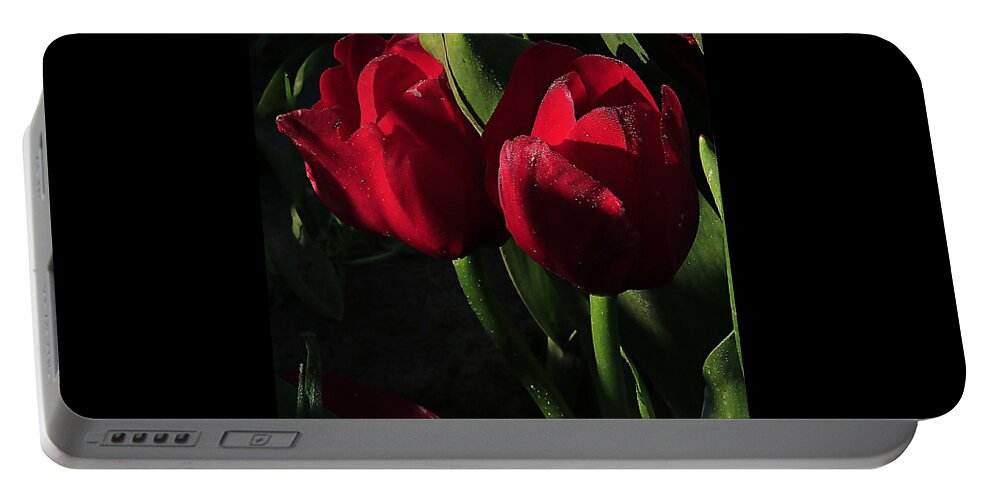Tulips Portable Battery Charger featuring the photograph Rising Into the Light by Steve Warnstaff
