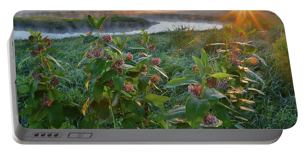 Glacial Park Portable Battery Charger featuring the photograph Rising Sun Backlights Milkweed along Nippersink Creek in Glacial Park by Ray Mathis