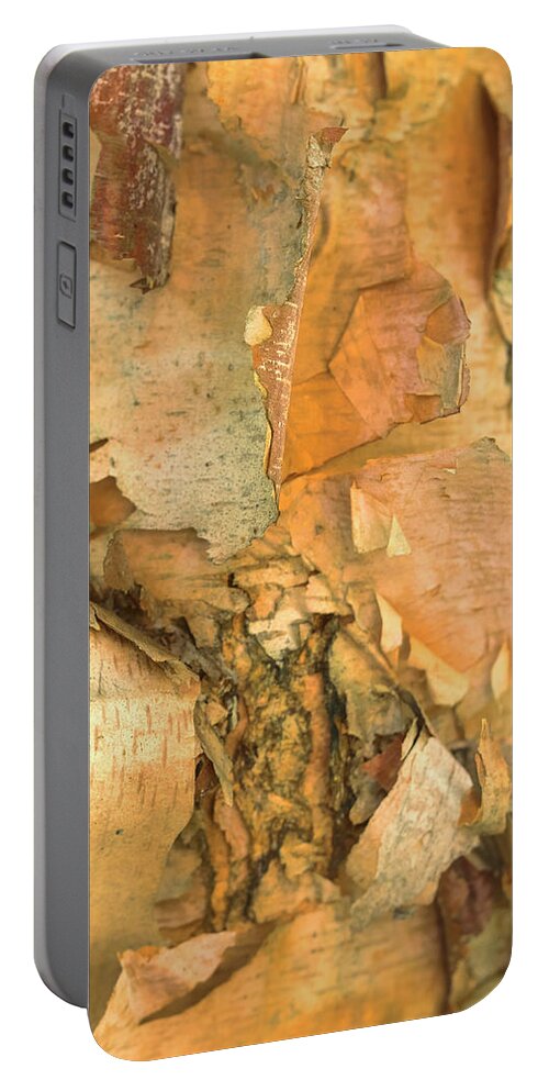 River Birch Tree Portable Battery Charger featuring the photograph River Birch by Tom Singleton