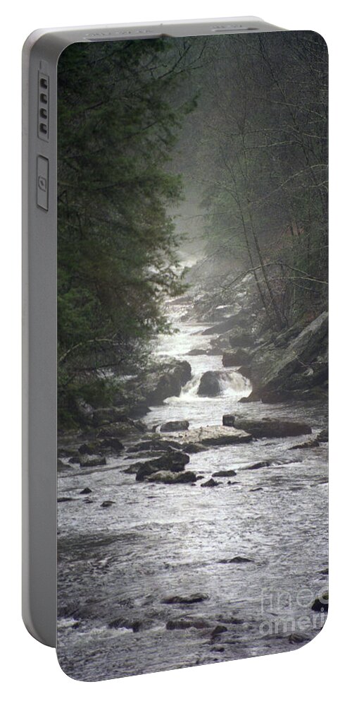 River Portable Battery Charger featuring the photograph River Run by Richard Rizzo