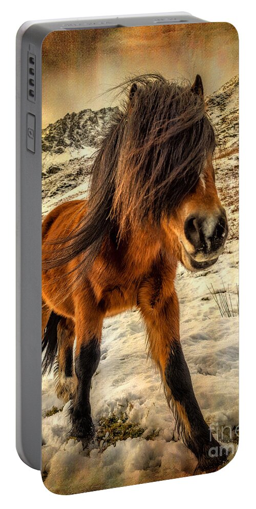 Nant Ffrancon Portable Battery Charger featuring the photograph Roaming Free by Adrian Evans