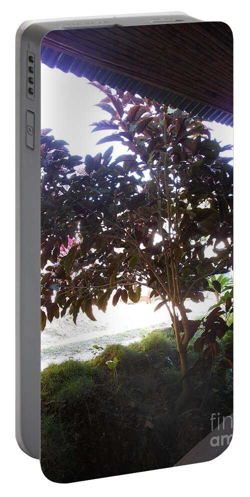 Roatan Portable Battery Charger featuring the photograph Roatan tree by Nancy Graham