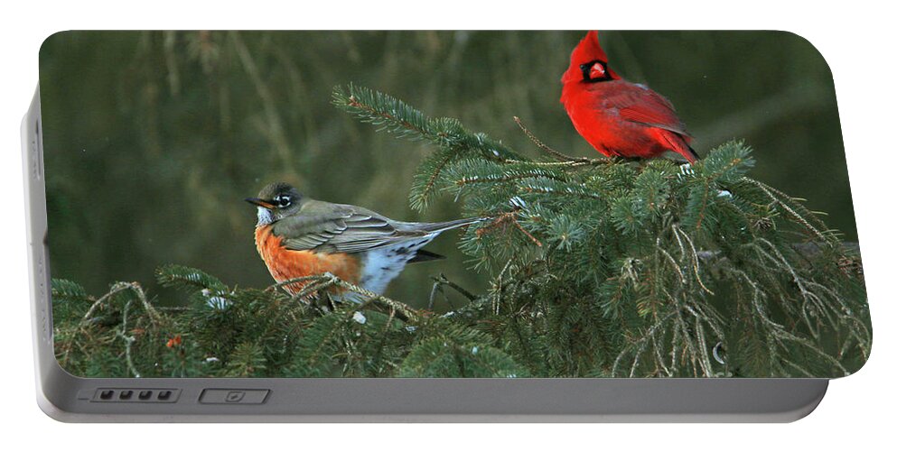 Cardinal Portable Battery Charger featuring the photograph Robin and Cardinal 6174 by Jack Schultz