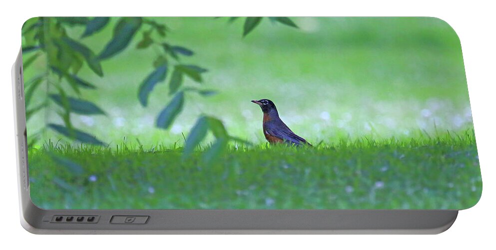 Robin In Grass Portable Battery Charger featuring the photograph Robin in Grass by PJQandFriends Photography