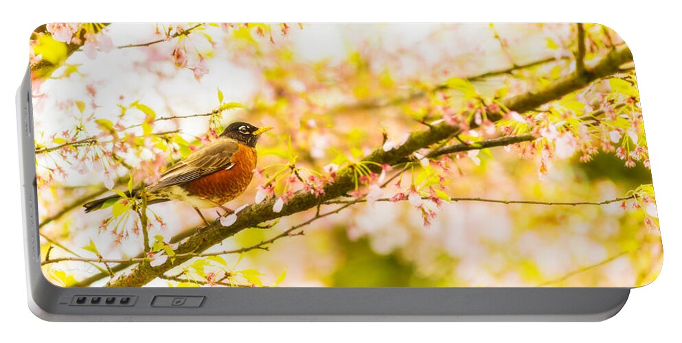 Animal Portable Battery Charger featuring the photograph Robin in spring blossom cherry tree by Peter V Quenter