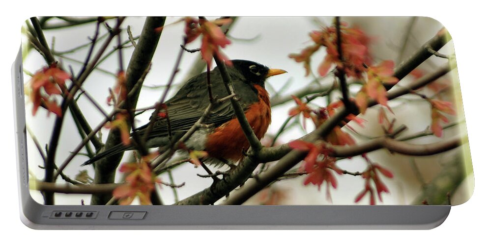 Spring Portable Battery Charger featuring the photograph Robin In Spring by Lydia Holly