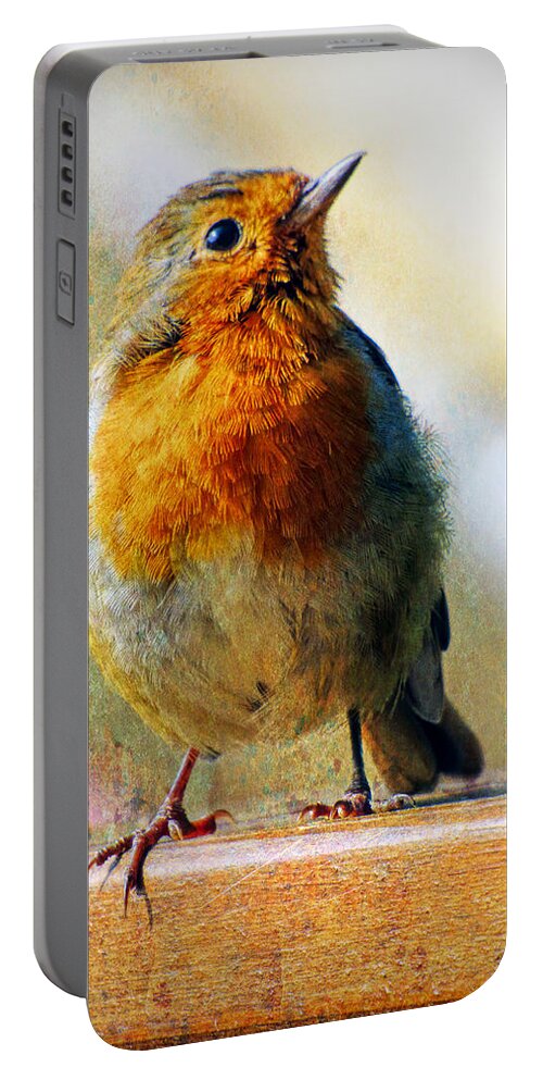 Robin Portable Battery Charger featuring the photograph Robin by Lynn Bolt