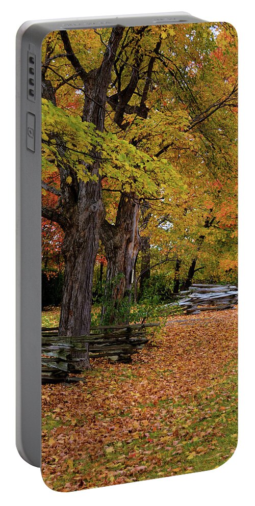 Nature Portable Battery Charger featuring the photograph Rochester Fall by Nancy Jenkins