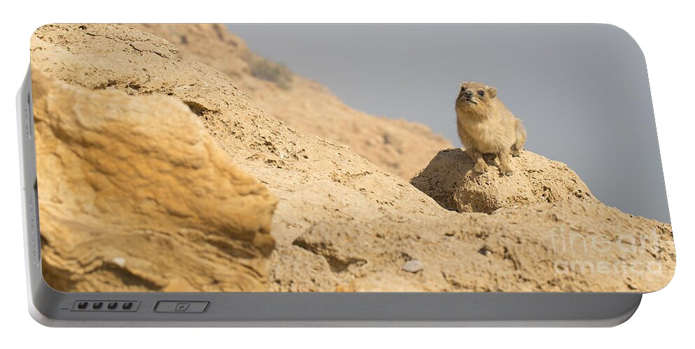 Rock Hyrax Portable Battery Charger featuring the photograph Rock Hyrax Procavia capensis by Alon Meir