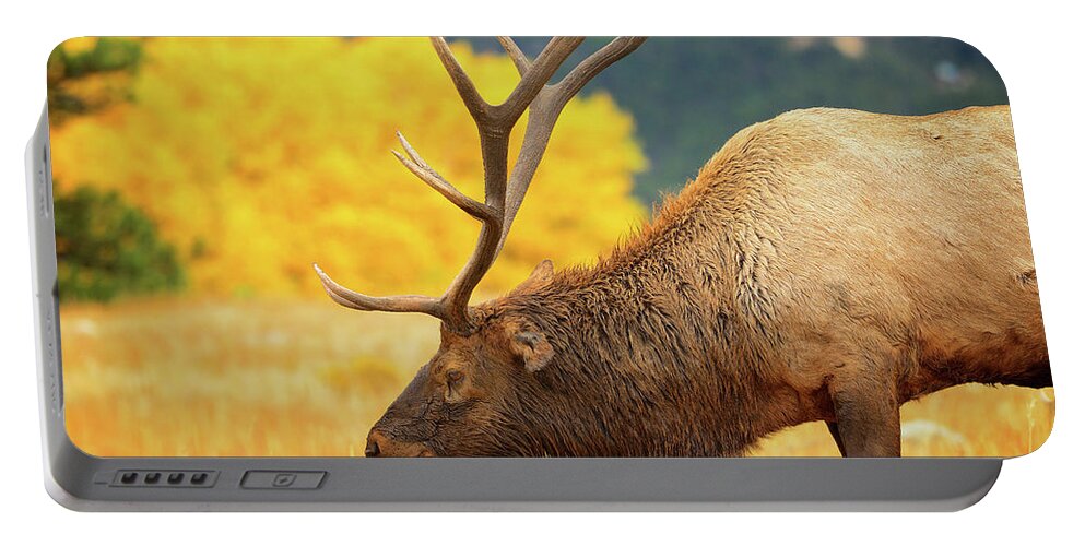 Elk Portable Battery Charger featuring the photograph Rocky Mountain Bull Elk by Greg Norrell