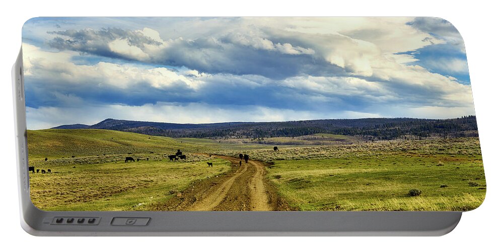 Ranch Portable Battery Charger featuring the photograph Room To Roam - Wyoming by Mountain Dreams