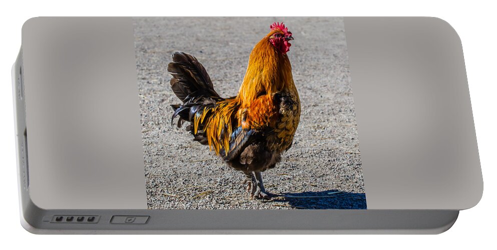 Rooster Portable Battery Charger featuring the photograph Rooster by Torbjorn Swenelius