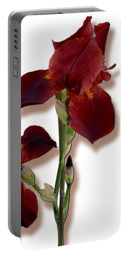 Iris Portable Battery Charger featuring the photograph Root Beer Irises by Tara Hutton