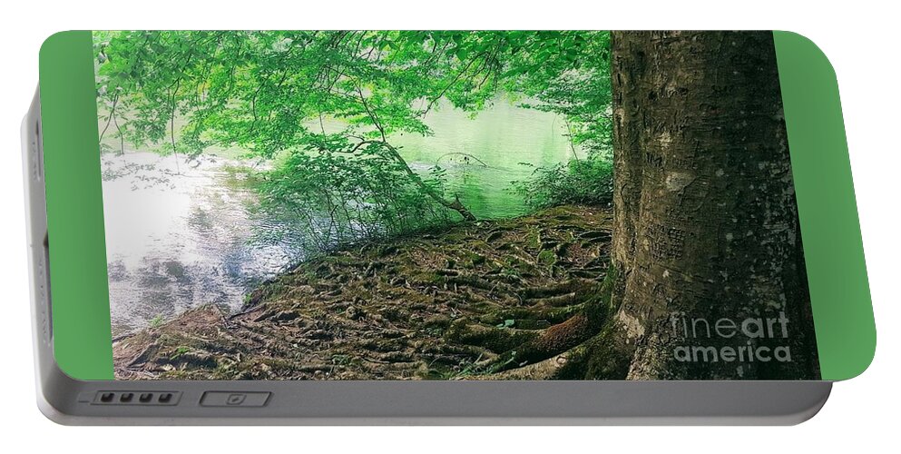 Tree Portable Battery Charger featuring the photograph Roots On The River by Rachel Hannah