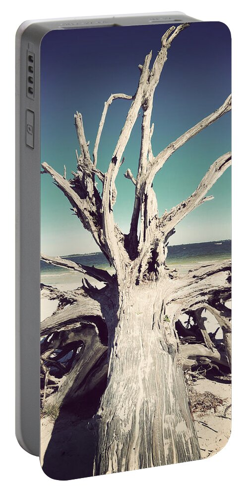 Florida Portable Battery Charger featuring the photograph Roots to the Sky-Vintage by Chris Andruskiewicz