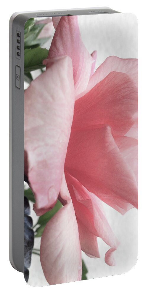 Flower Portable Battery Charger featuring the photograph Rosa Rose by Cesar Vieira