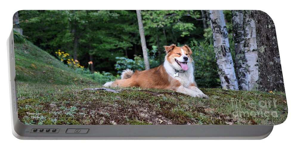 Roscoe Portable Battery Charger featuring the photograph Roscoe by Wanda-Lynn Searles