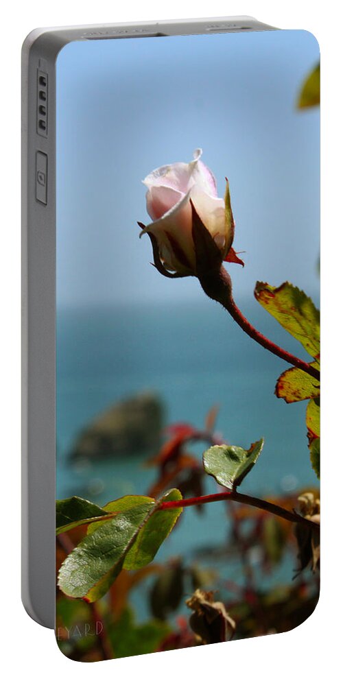 Ocean Portable Battery Charger featuring the photograph Rose by the Sea by Susan Vineyard