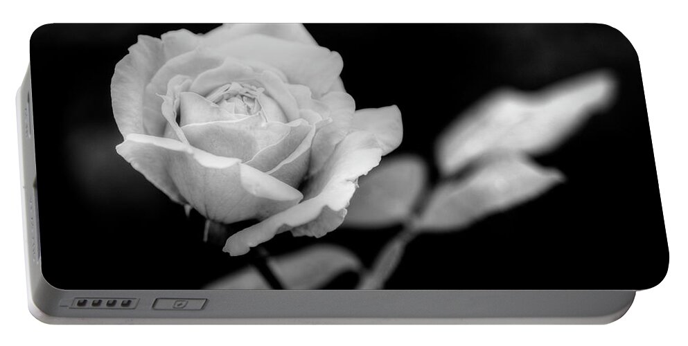 Colorado Portable Battery Charger featuring the photograph Rose by Norman Reid