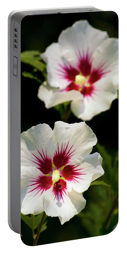 Hibiscus Portable Battery Charger featuring the photograph Rose of Sharon by Christina Rollo