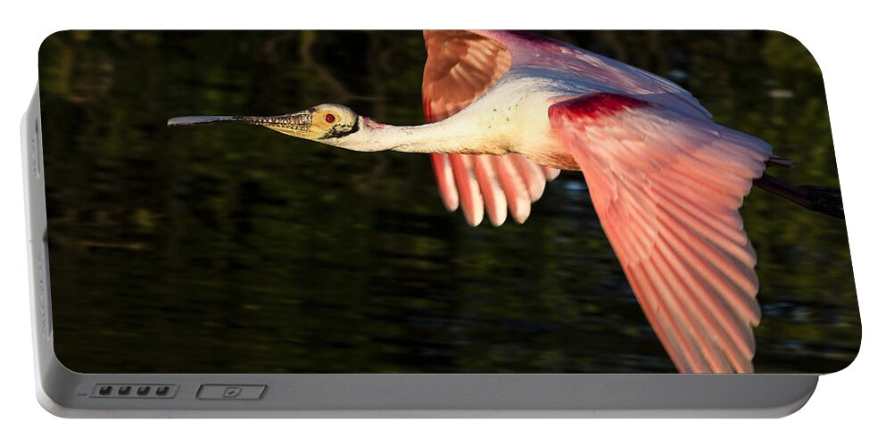 Roseate Portable Battery Charger featuring the photograph Roseate Spoonbill Flight by Jim Miller
