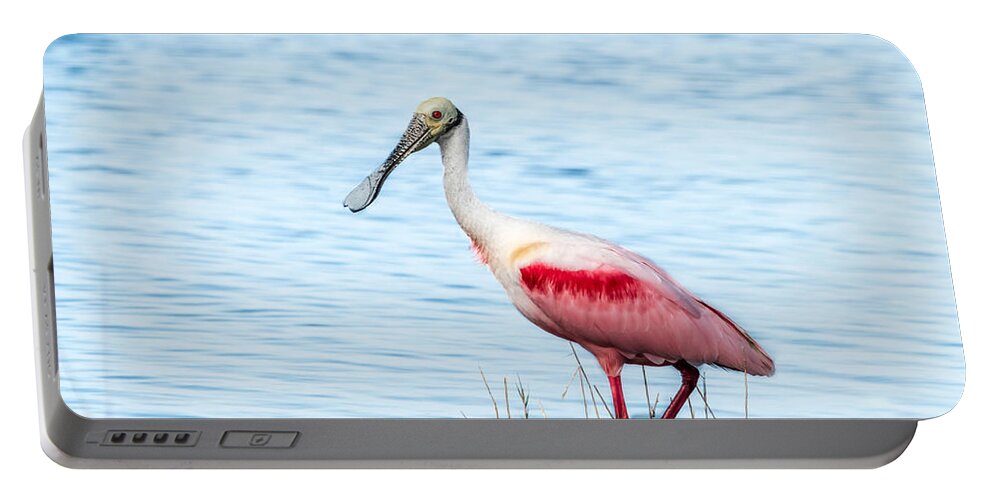 Bird Portable Battery Charger featuring the photograph Roseate Spoonbill by Jaime Mercado