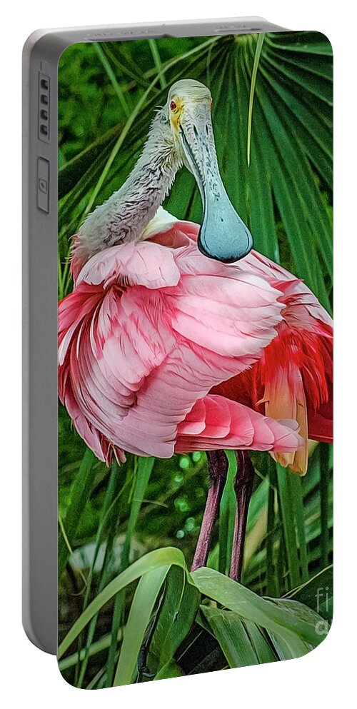 Roseate Spoonbill Portable Battery Charger featuring the photograph Roseate Spoonbill preening by Brian Tarr