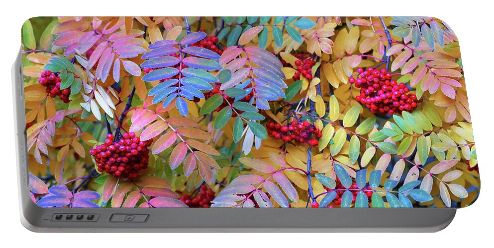 Sorbus Aucuparia Portable Battery Charger featuring the photograph Rowan by Michele Penner