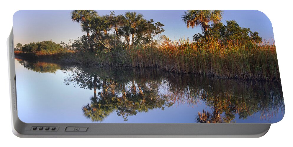 00175775 Portable Battery Charger featuring the photograph Royal Palm Trees And Reeds by Tim Fitzharris