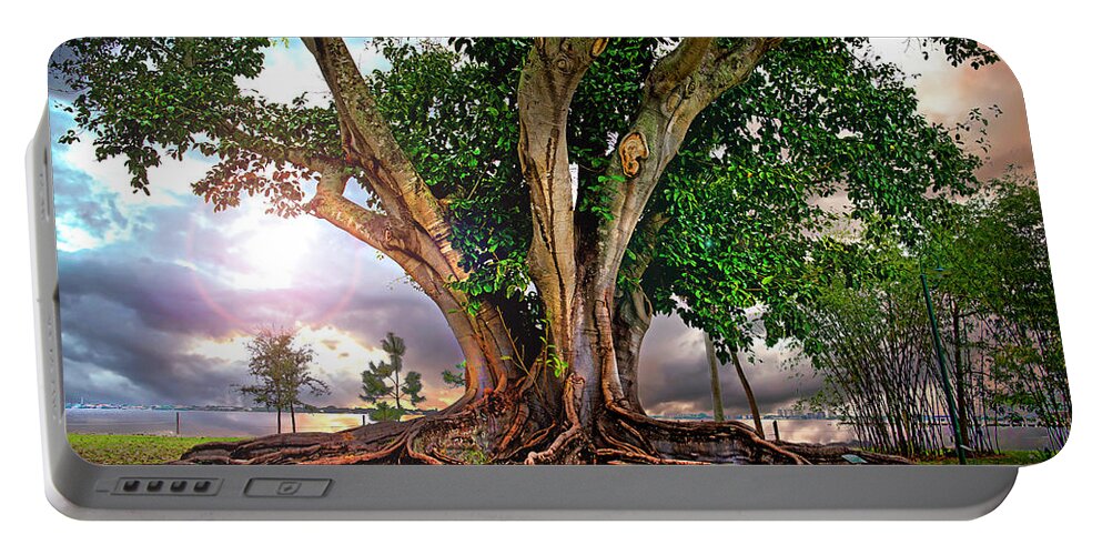 Rubber Tree Portable Battery Charger featuring the photograph Rubber Tree by Mal Bray