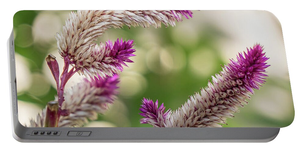 Florida Portable Battery Charger featuring the photograph Ruby Parfait Celosia by Jane Luxton