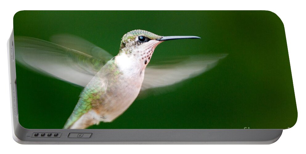 Bird Portable Battery Charger featuring the photograph Ruby Throated Hummingbird by John Harmon