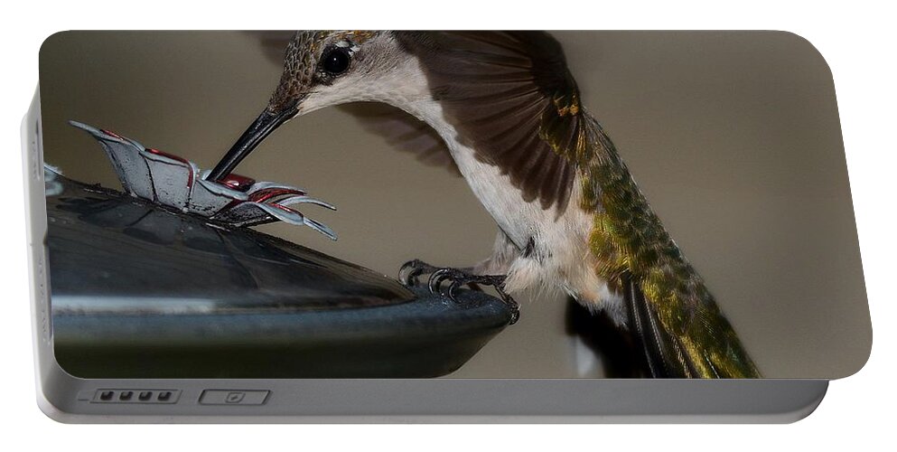 Birds Portable Battery Charger featuring the photograph Ruby - Throated Hummingbird by Steve Brown