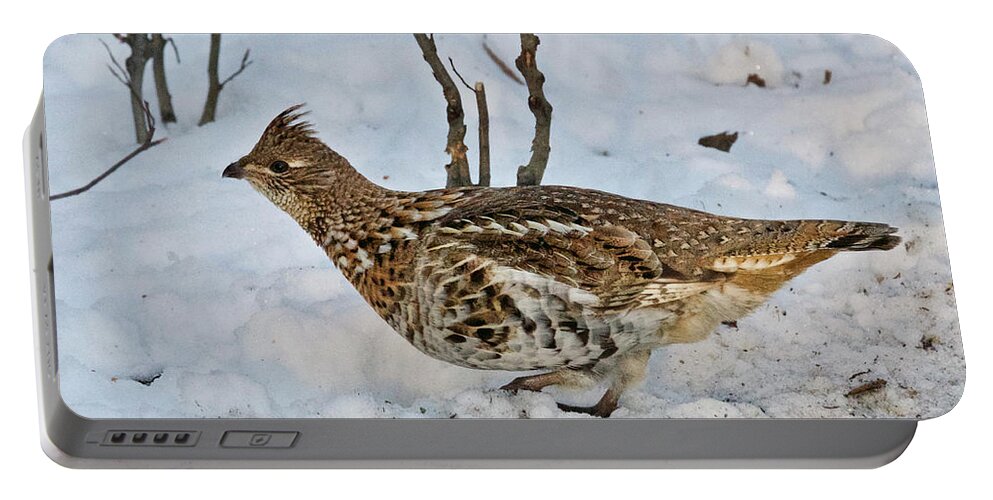 Grouse Portable Battery Charger featuring the photograph Ruffed Grouse 1162 by Michael Peychich