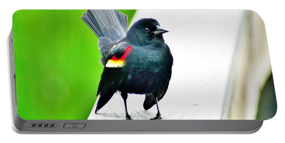 Red Winged Blackbird Portable Battery Charger featuring the photograph Ruffled and Determined by Merle Grenz