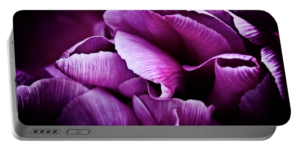 Purple Tulips Portable Battery Charger featuring the photograph Ruffled Edge Tulips by Joann Copeland-Paul