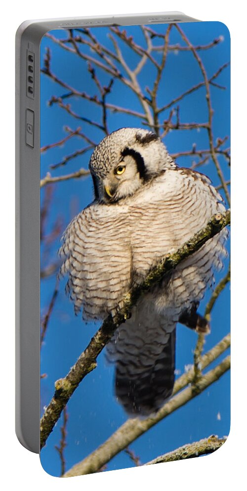 Ruffled Up Portable Battery Charger featuring the photograph Ruffled up by Torbjorn Swenelius