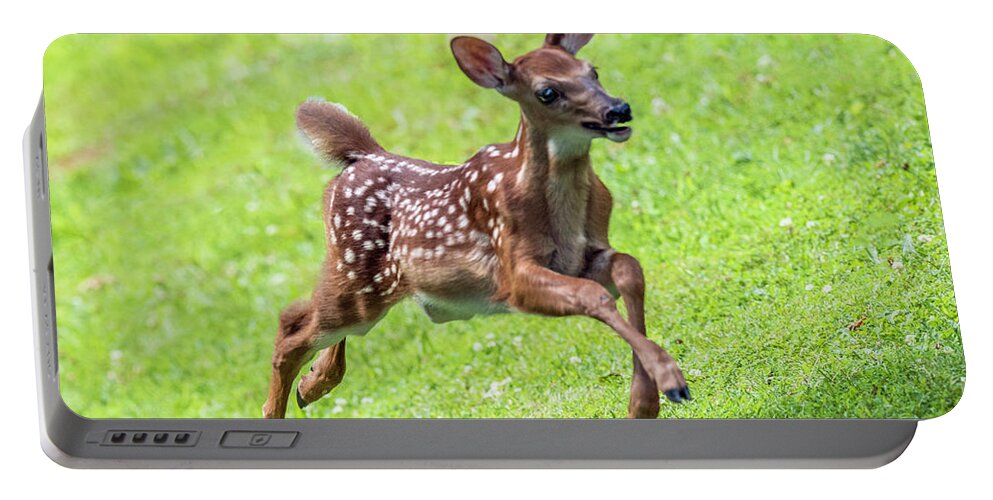 Fawn Portable Battery Charger featuring the photograph Running And Jumping by William Bitman