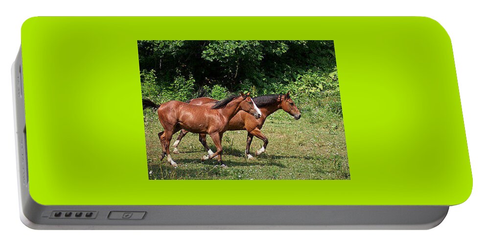 Horses Portable Battery Charger featuring the photograph Running the Field by De McClung
