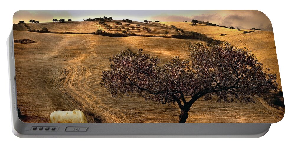 Landscape Portable Battery Charger featuring the photograph Rural Spain View by Mal Bray